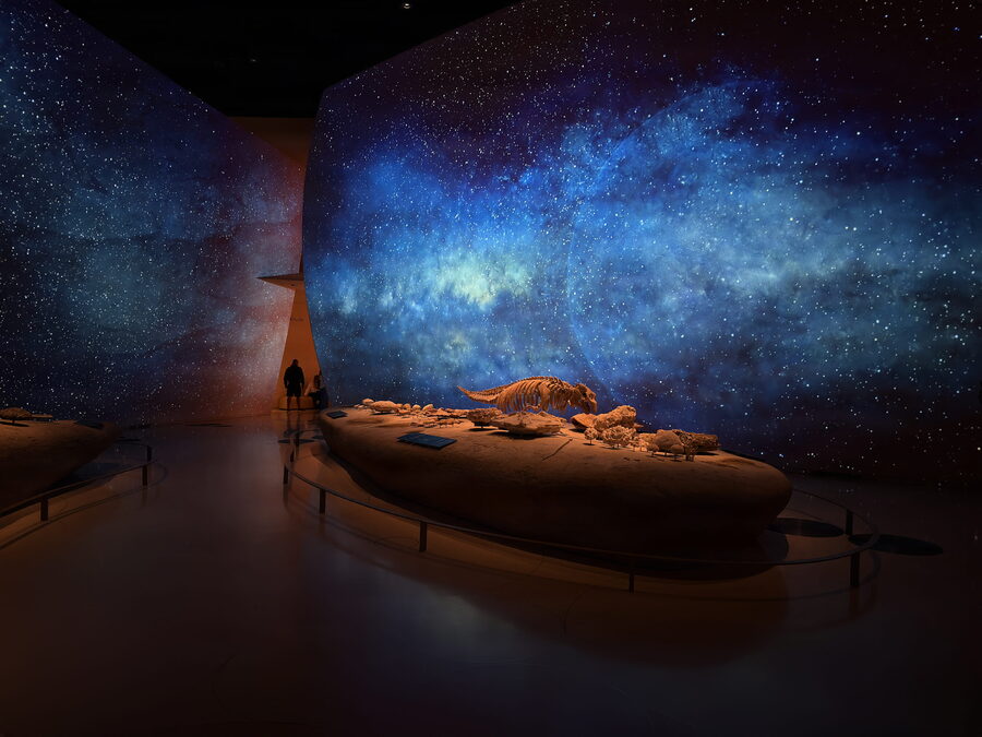 Qatar National Museum